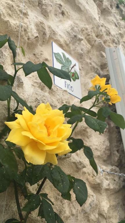 Fotografie z fotogalerie ubytování Albergo Diffuso Il Casale v destinaci Ginosa