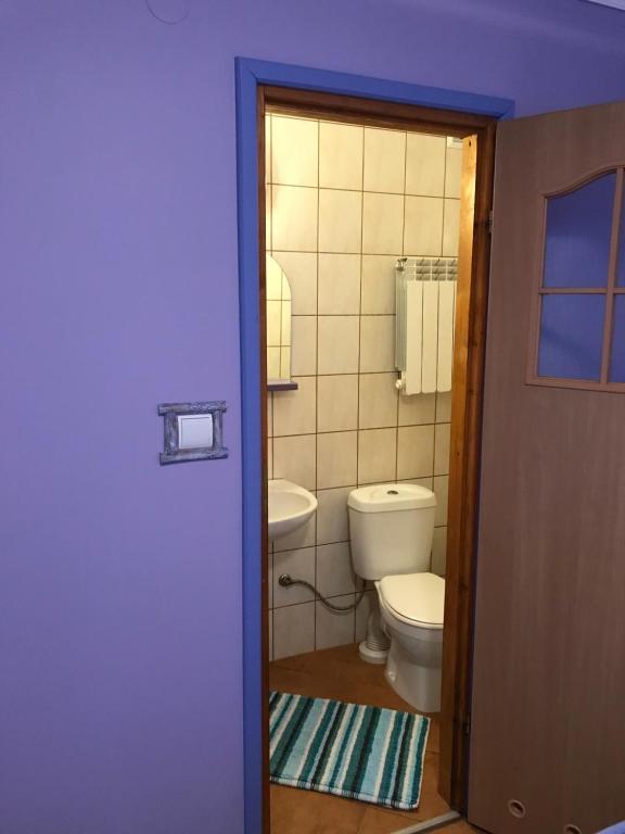 Kúpeľňa v ubytovaní BaletyuKatany