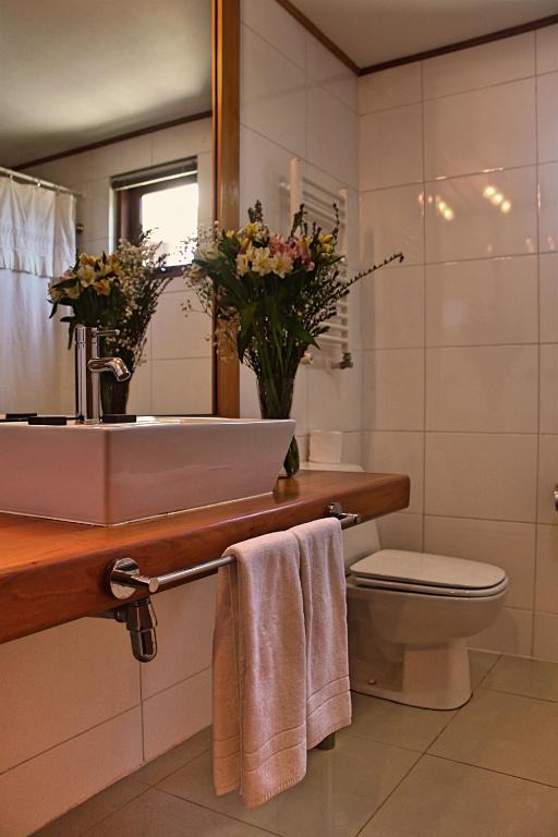 Un baño de Hotel Puelche