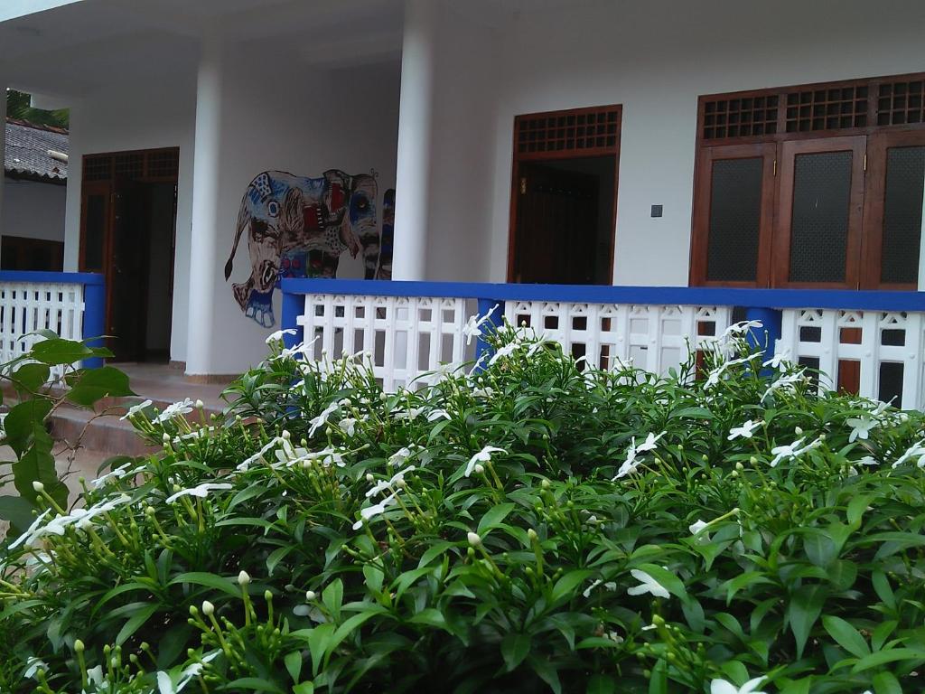a bush in front of a house with a blue bench at Charith Home Stay in Tangalle