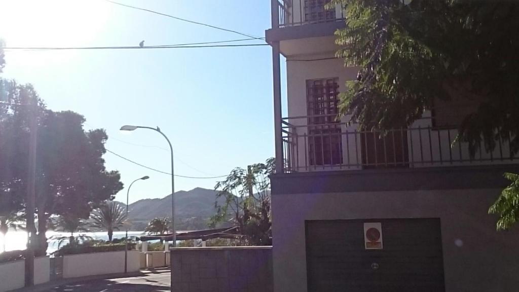 Príroda v okolí apartmánu