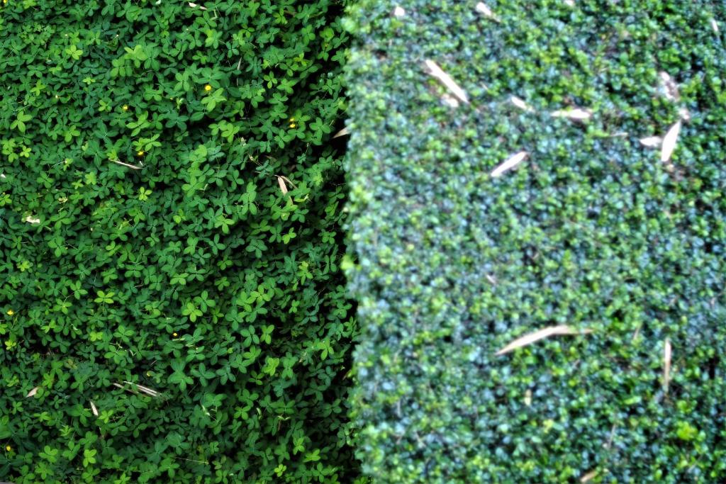 Yoma Hotel, Pai - 12