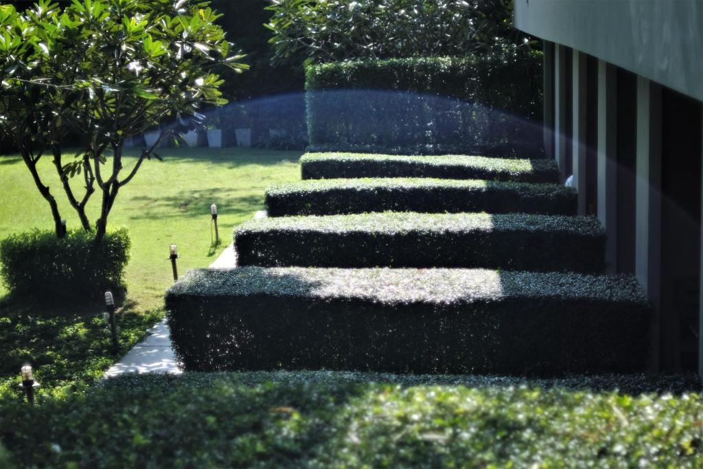 Yoma Hotel, Pai - 13