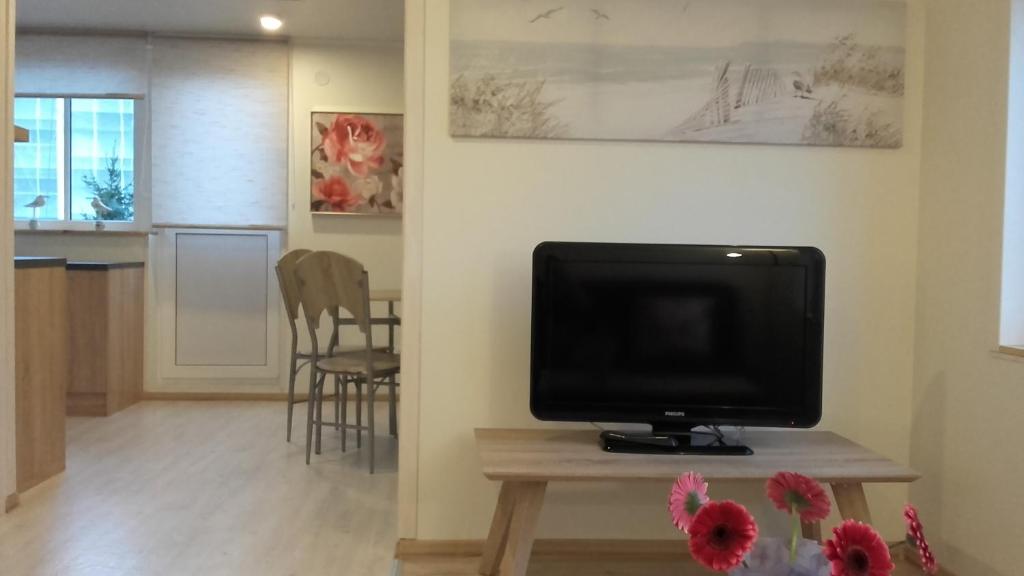TV a/nebo společenská místnost v ubytování Haavalehe Summer House
