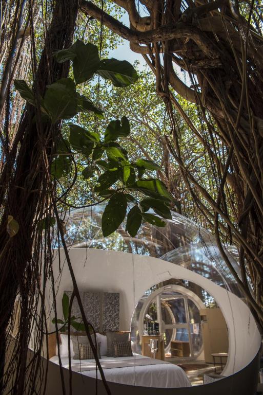 Bubble Lodge Ile aux Cerfs Island - 15