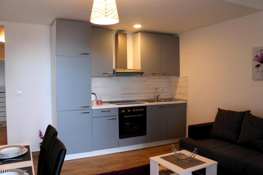 Kuchyň nebo kuchyňský kout v ubytování Apartments Tea