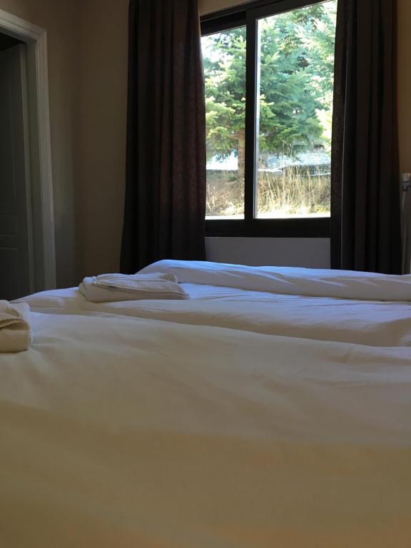 Naoussa Mountain Resort - Chambre Double Avec Vue Sur Le Jardin