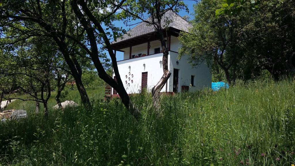 Foto dalla galleria di Cottage Poe a Poienari