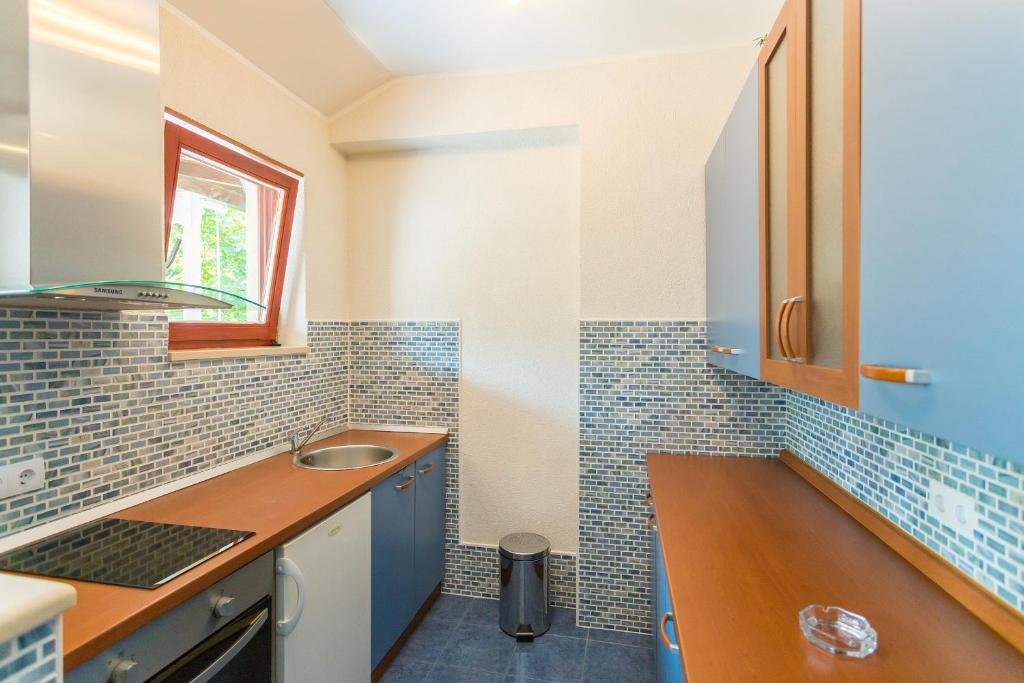 Kuchyňa alebo kuchynka v ubytovaní Niki Apartment
