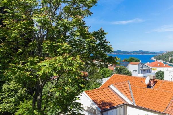 Príroda v okolí apartmánu