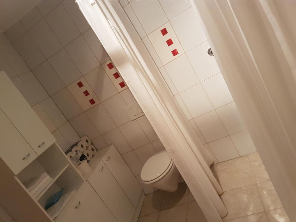 a small bathroom with a toilet and a shower at Eisenerzer Hof in Eisenerz