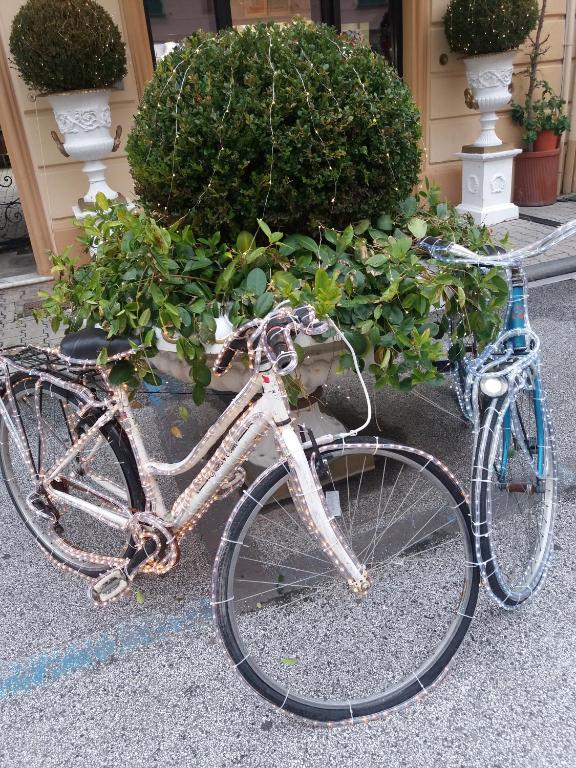 Kerékpározás sole mare versilia környékén