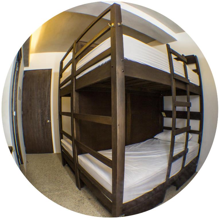 Los Muertos Hostal photo