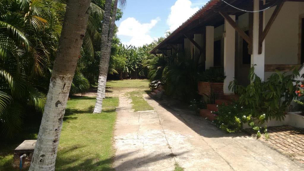 a house with a palm tree next to a sidewalk at Pousada Rosa dos Ventos in Genipabu