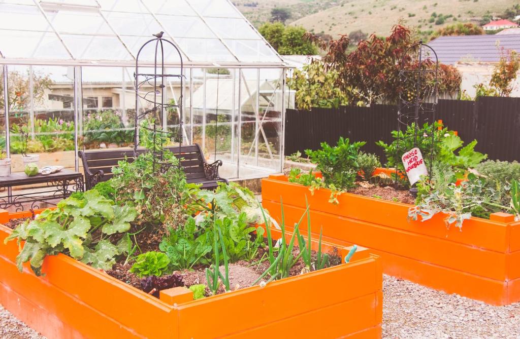 Oamaru Backpackers - Resim 18