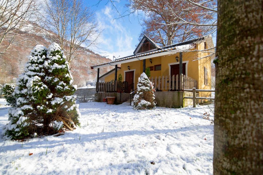 a house with a christmas tree in the snow at Agriturismo Falode in Castello del Matese