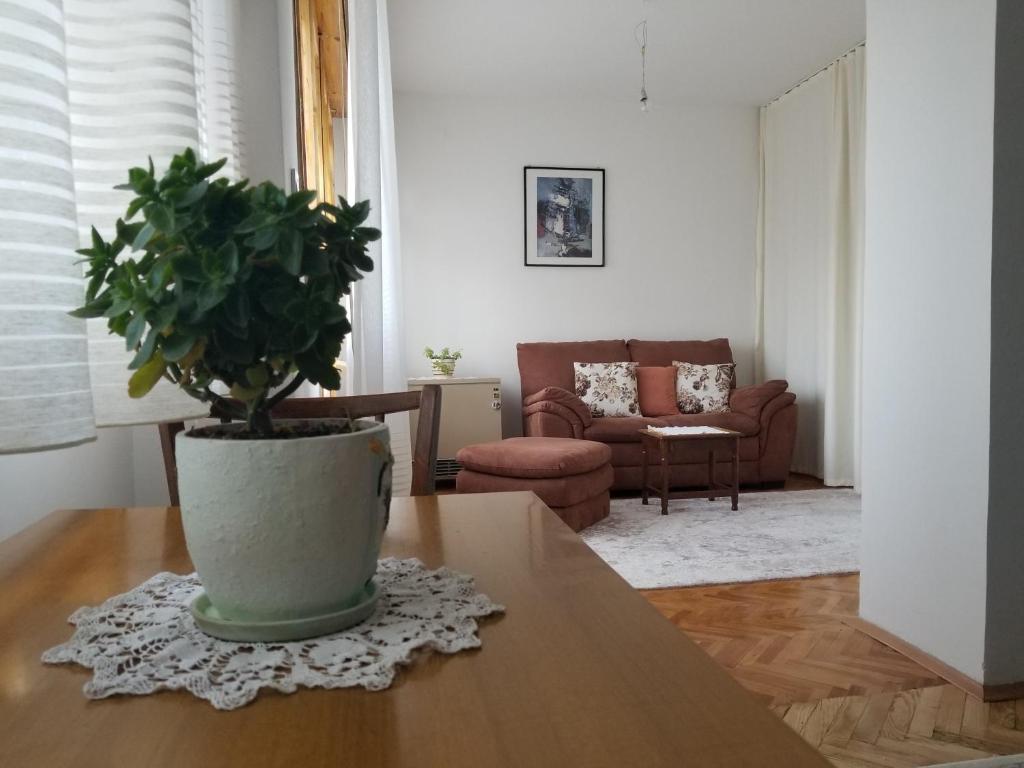 a living room with a potted plant on a table at Super Central & Panoramic - Leo's Apartment in Pristina