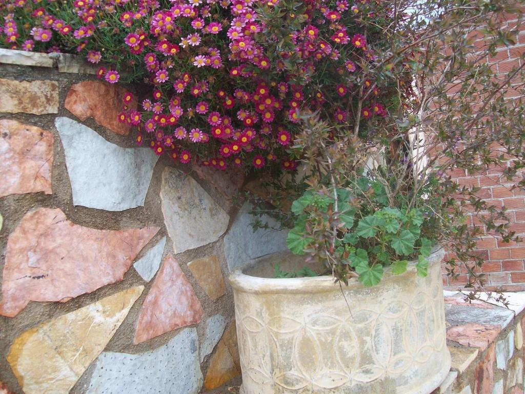 a large pot of flowers on a stone wall at Minas Apartments in Divarata