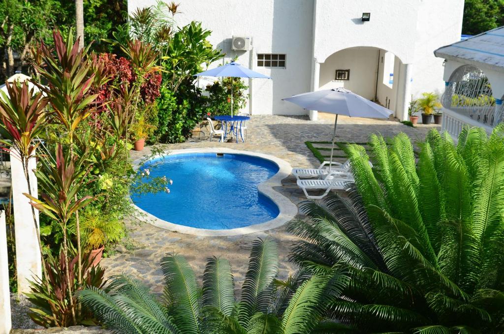 una piscina en un patio con sombrillas y plantas en Trade winds vacation rentals, en Anadel