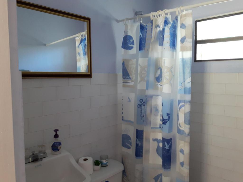 a bathroom with a blue and white shower curtain at SXM Spotters Paradise in Lowlands