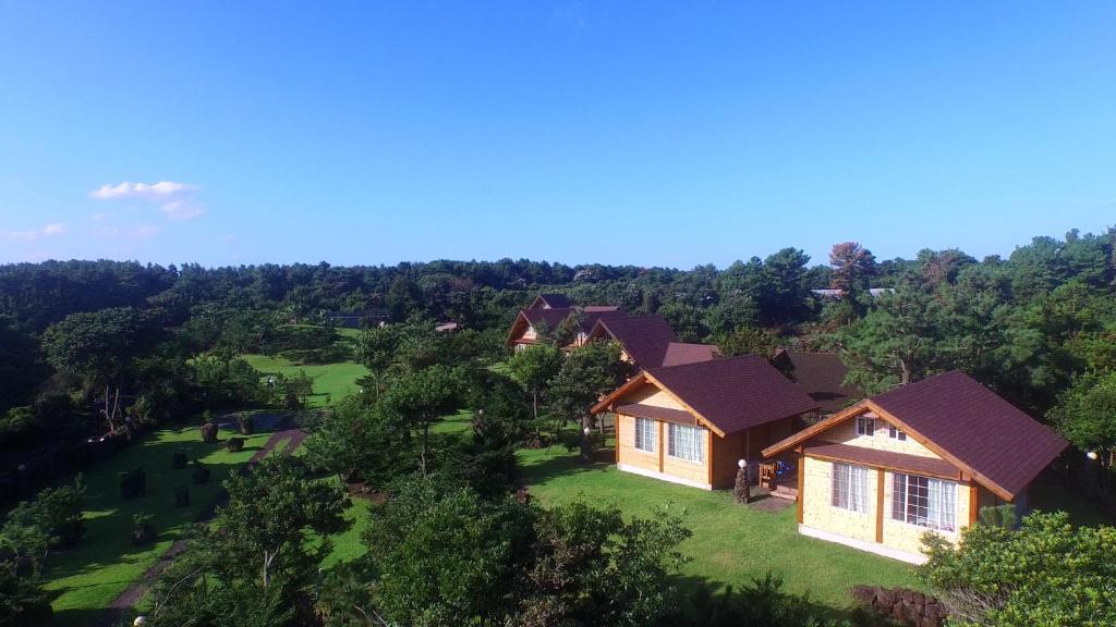 an aerial view of a house in the woods at Jeju Bille Log Pension in Seogwipo