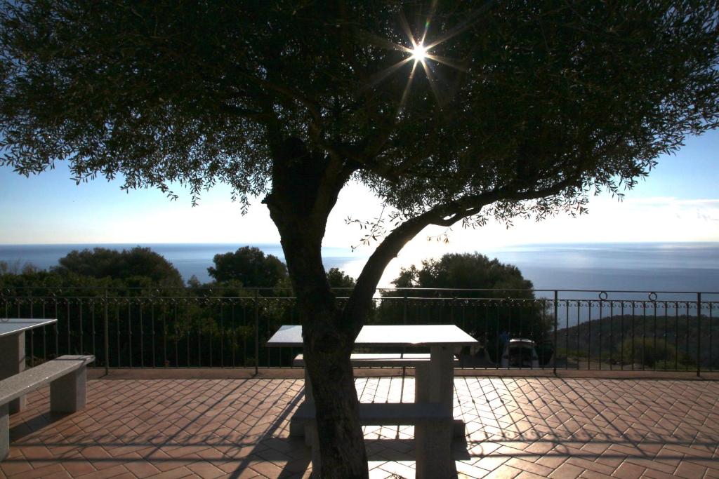 stół piknikowy z drzewem przed płotem w obiekcie Hotel Turismo Rurale Villa Maria Caterina w mieście Cala Gonone