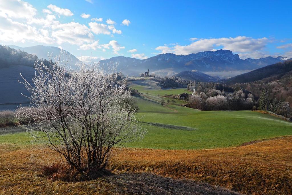 Blick auf einen Golfplatz in den Bergen in der Unterkunft Ferienhof Unterführholzergut in Klaus