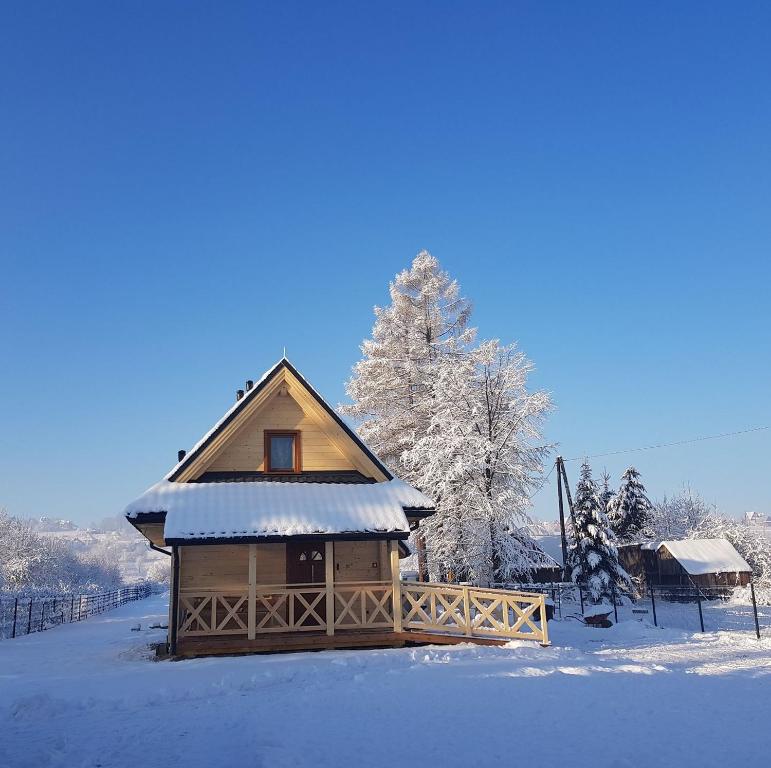 a small cabin in the snow with snow covered trees at Eko domki MaMastra Szaflary in Szaflary