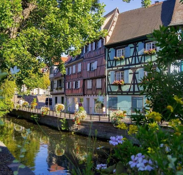 At home in the center of Colmar – photo 5