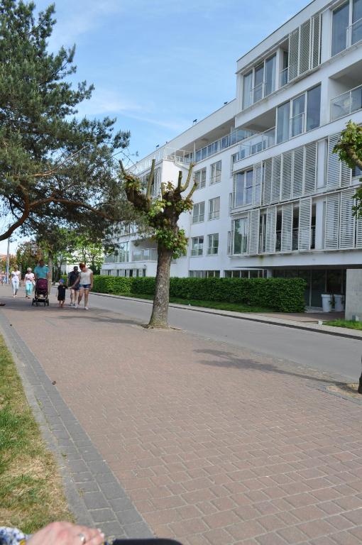 Okolie apartmánu
