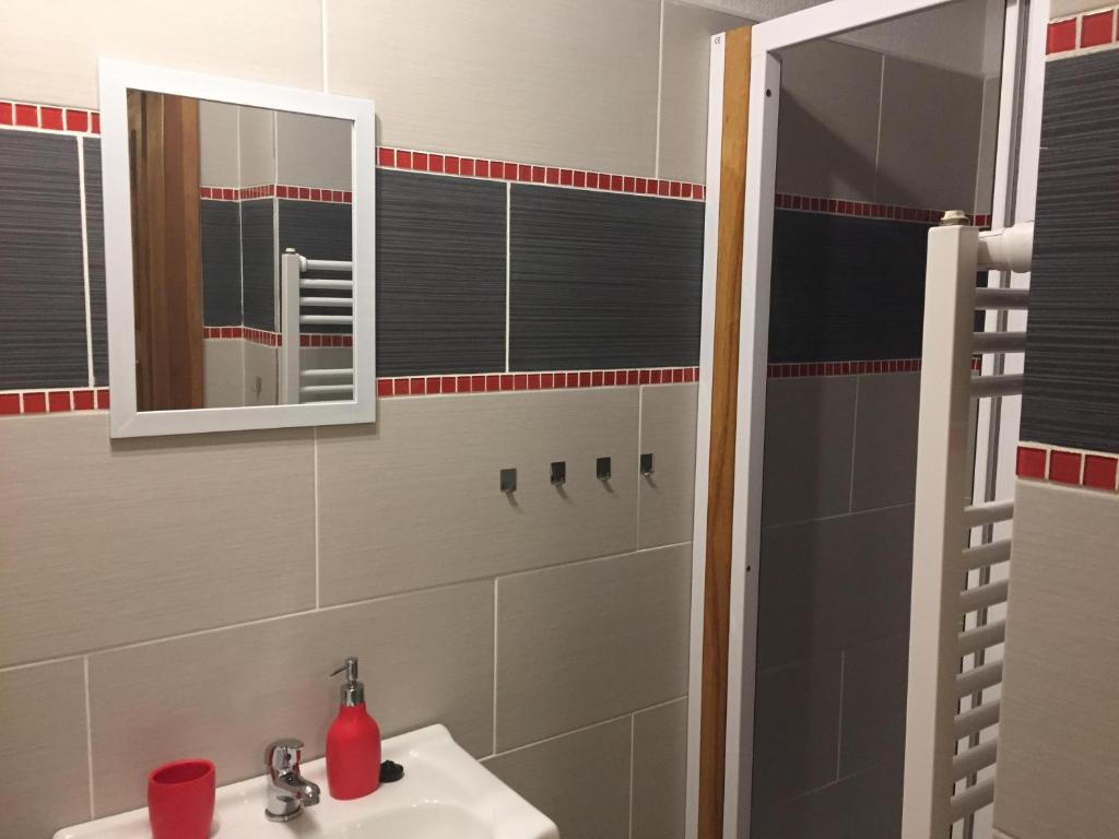 a bathroom with a sink and a mirror at Chalupa u Josefa in Josefuv dul