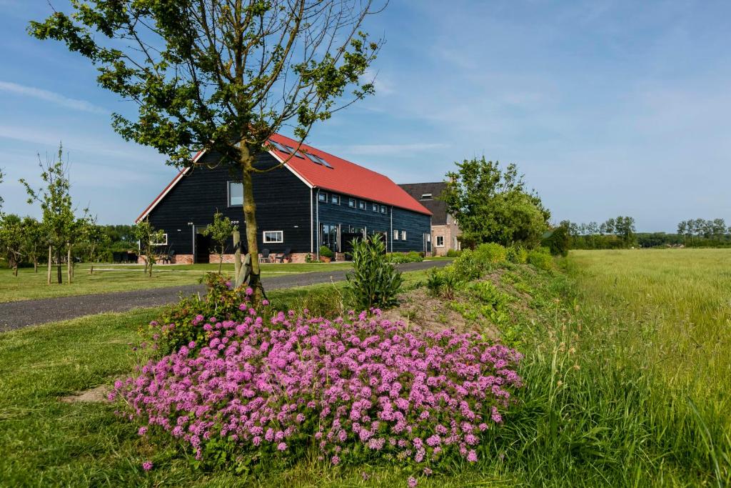 Gallery image of Hofwestdijk in Vrouwenpolder