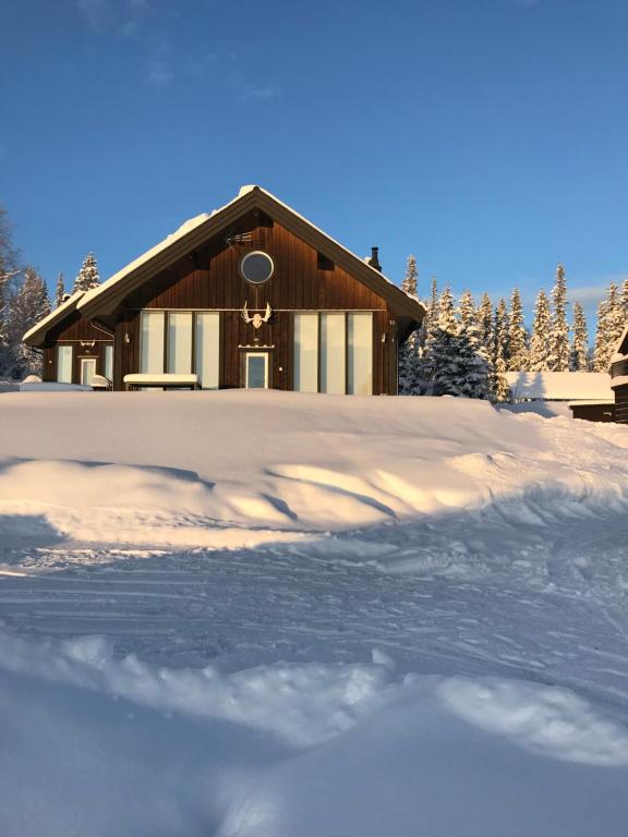 Ottsjö-Åre Lodge v zimě
