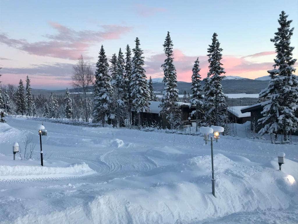 Ottsjö-Åre Lodge v zimě