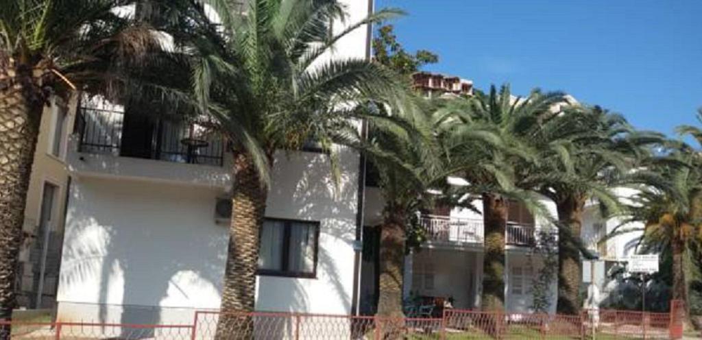 a group of palm trees in front of a building at Studio Apartments 6 Palmi in Budva