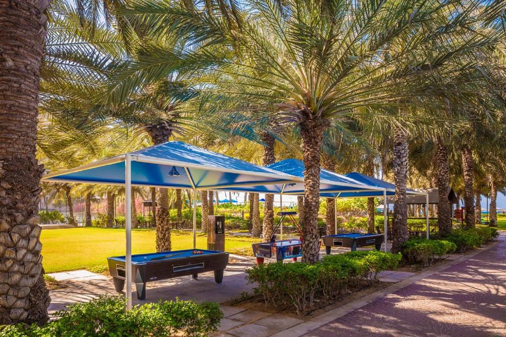 Zahrada ubytování Coral Beach Resort Sharjah