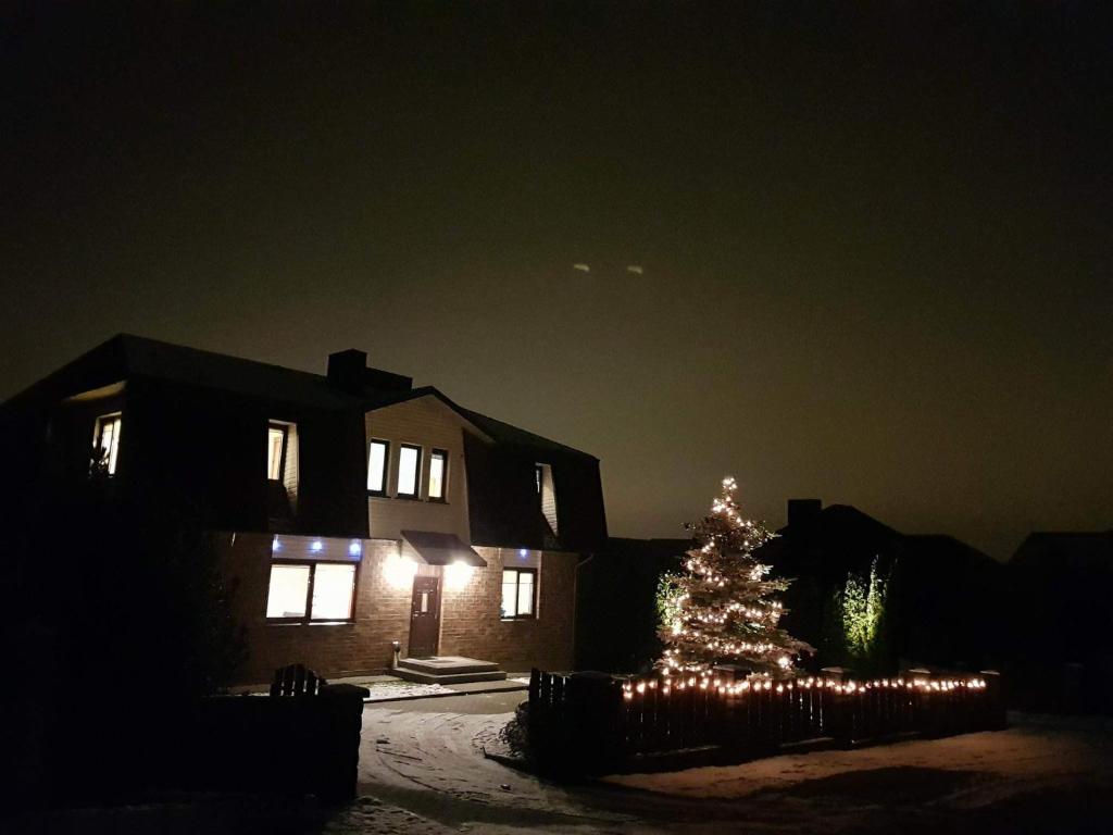 Un árbol de Navidad delante de una casa por la noche en Vidų Guest House, en Utena