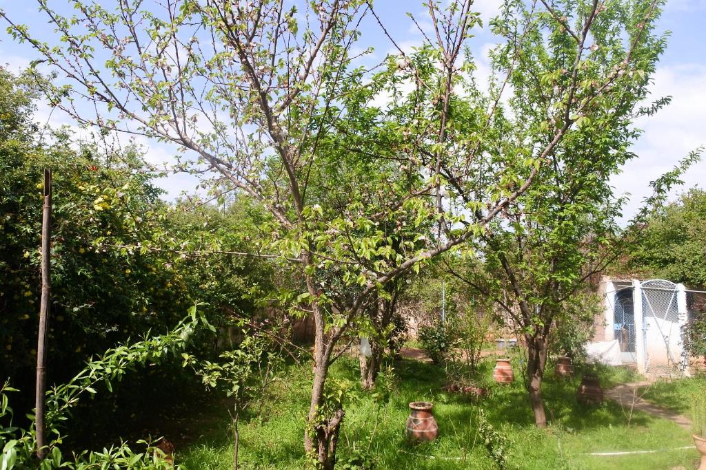 Zahrada ubytování Le jardin d'habiba