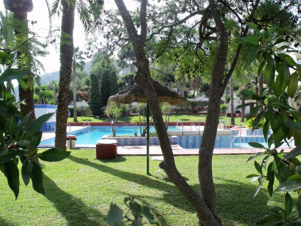 ラ・エラドゥーラにあるLos Ciprysesの木々からプールの景色を望めます。