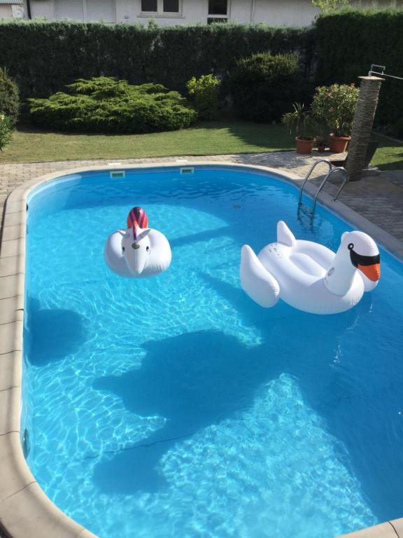 two inflatable swans and ducks in a swimming pool at Cyrano Vendégház in Vonyarcvashegy