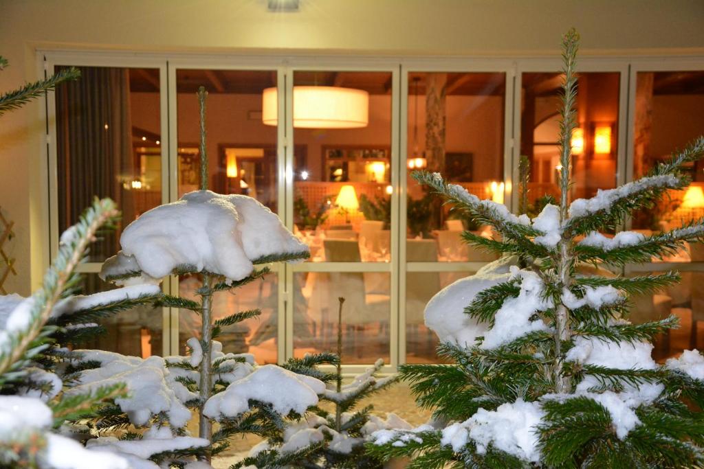 Hotel Zum Turm v zimě