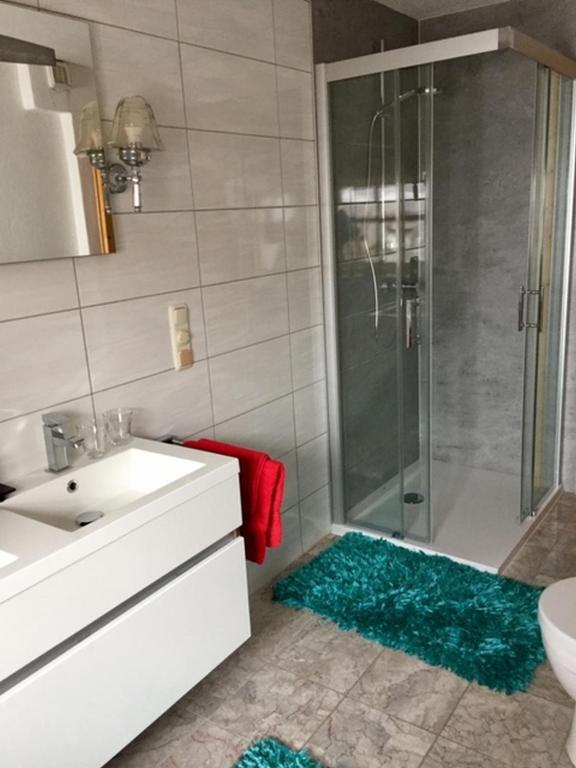 Koupelna v ubytování Designer-Chalets