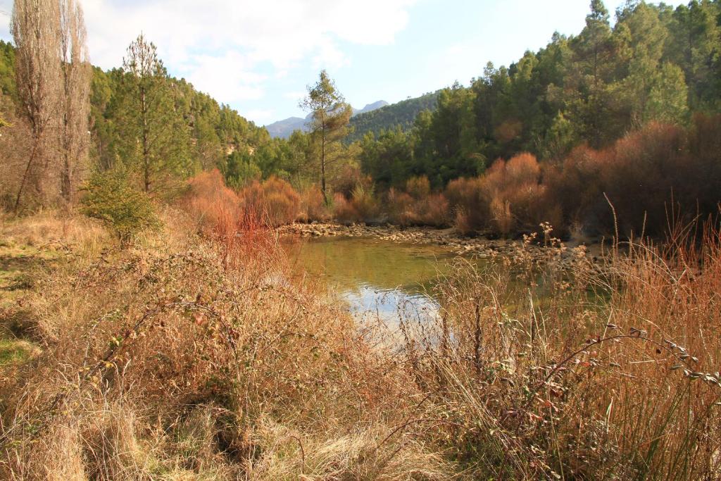 Un paisaje natural cerca del hotel