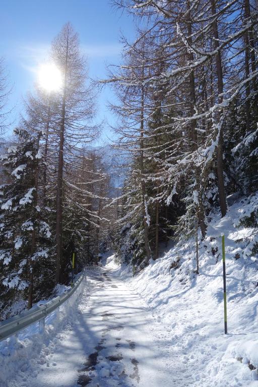 Ferienhütte Premstlahof v zimě