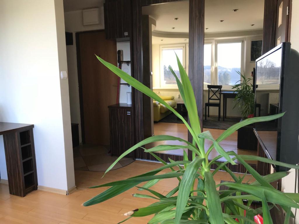 Televízia a/alebo spoločenská miestnosť v ubytovaní Widokowy Apartament nad Jeziorem