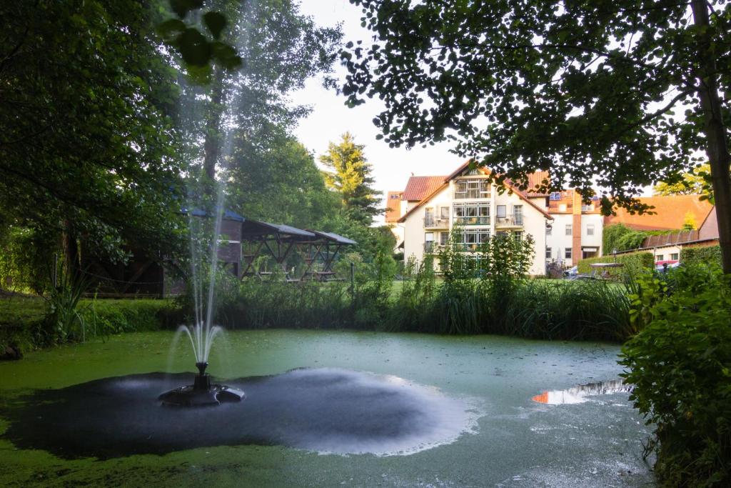 a fountain in the middle of a pond at Hotel & Restaurant Am Alten Rhin in Neuruppin