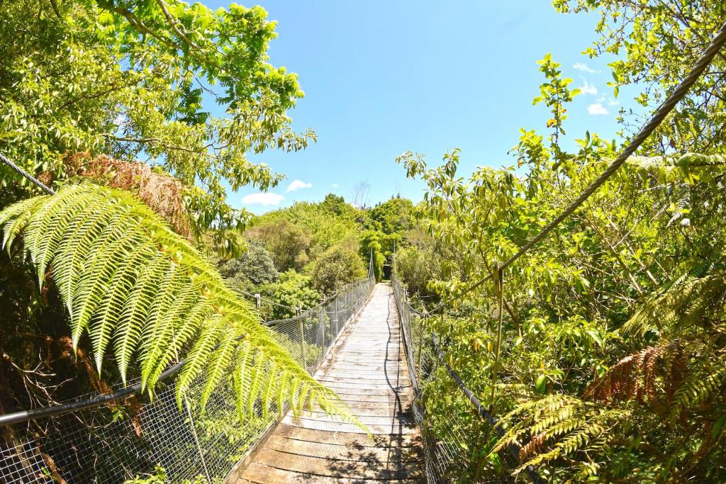 a swinging bridge in the jungle at TePopo Gardens & Accommodation in Stratford