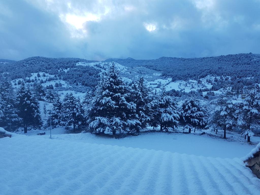 La Virgen de la VegaにあるAcogedora casa en la montañaの遠くに木々が積もる雪の丘