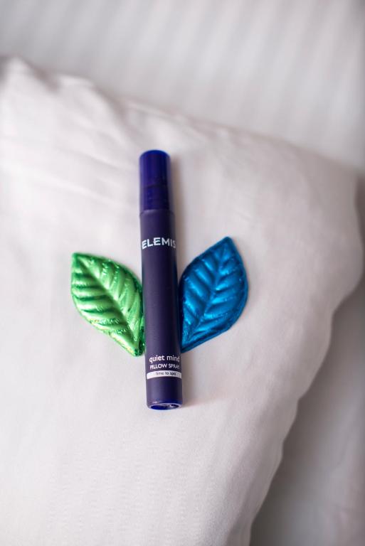 a blue and green toothbrush with a leaf on it at Hotel BLU in Vancouver