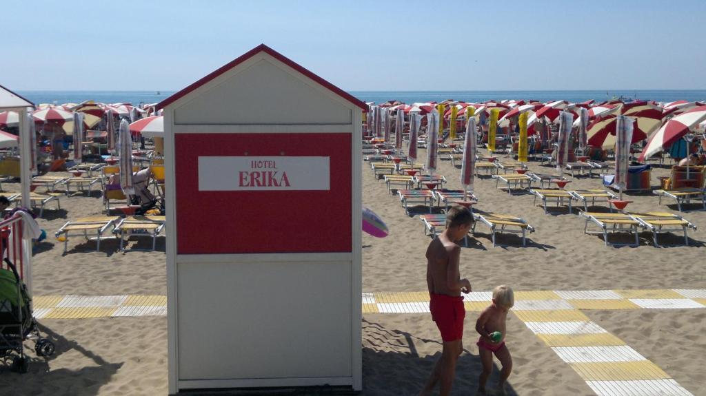 Hosté ubytování Hotel Erika